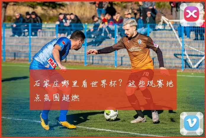 石家庄哪里看世界杯?这些观赛地点氛围超燃