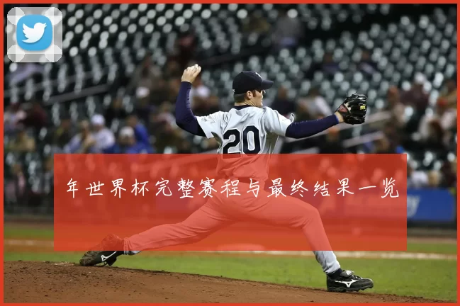 年世界杯完整赛程与最终结果一览