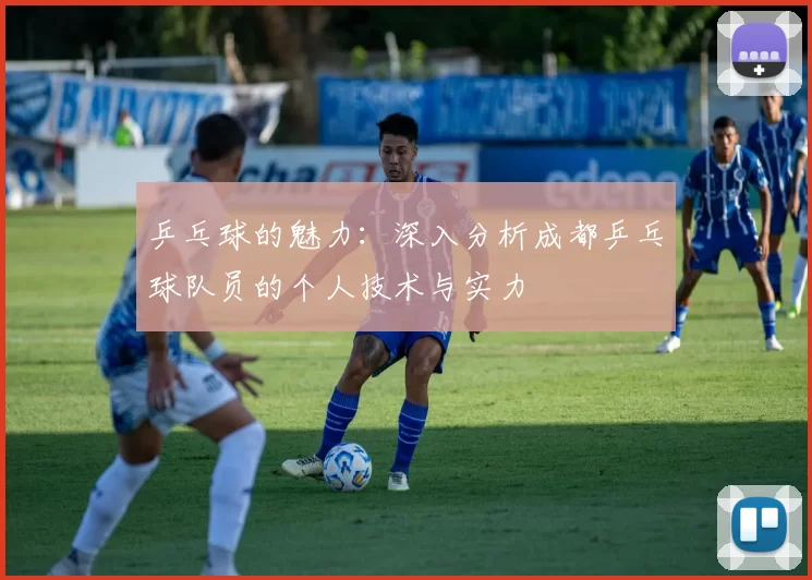 乒乓球的魅力：深入分析成都乒乓球队员的个人技术与实力
