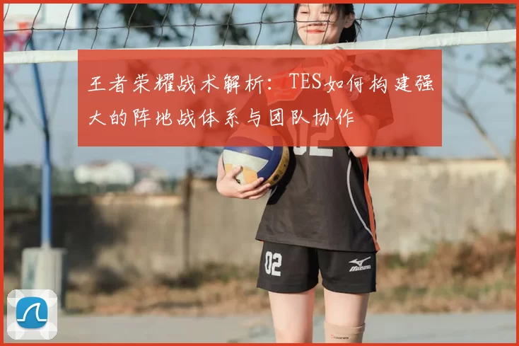 王者荣耀战术解析：TES如何构建强大的阵地战体系与团队协作