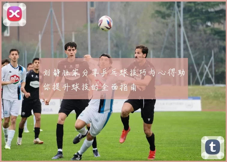刘静独家分享乒乓球技巧与心得助你提升球技的全面指南