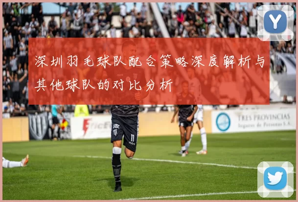 深圳羽毛球队配合策略深度解析与其他球队的对比分析