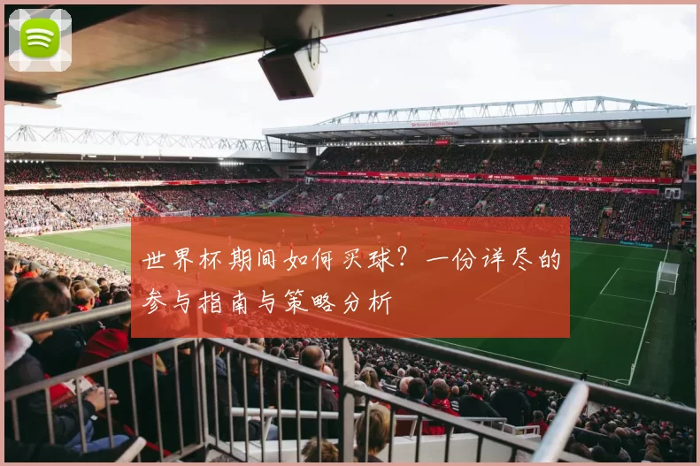 世界杯期间如何买球？一份详尽的参与指南与策略分析