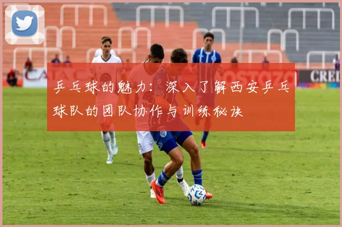 乒乓球的魅力:深入了解西安乒乓球队的团队协作与训练秘诀