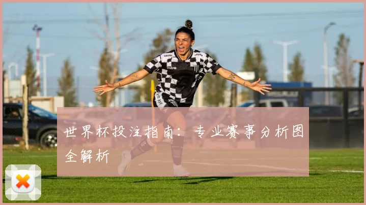 世界杯投注指南：专业赛事分析图全解析