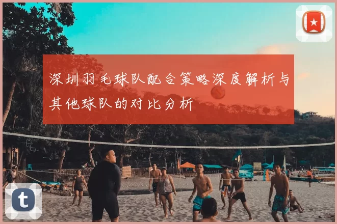 深圳羽毛球队配合策略深度解析与其他球队的对比分析