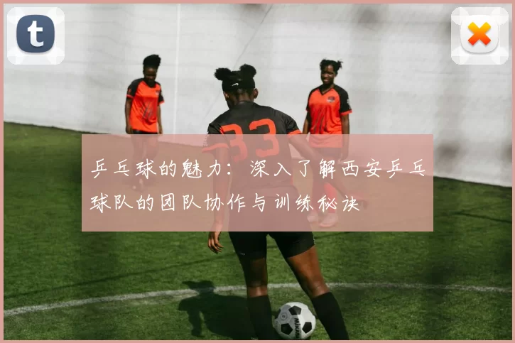 乒乓球的魅力：深入了解西安乒乓球队的团队协作与训练秘诀