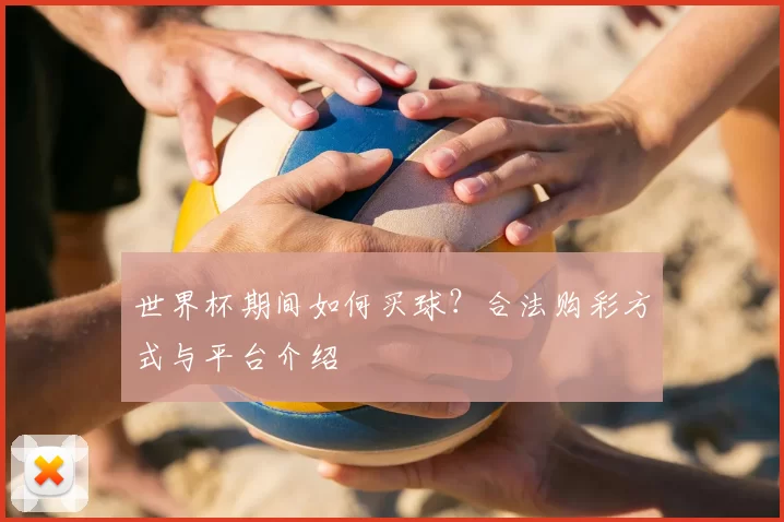世界杯期间如何买球？合法购彩方式与平台介绍