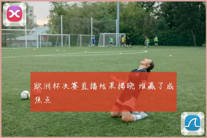 欧洲杯决赛直播结果揭晓 谁赢了成焦点