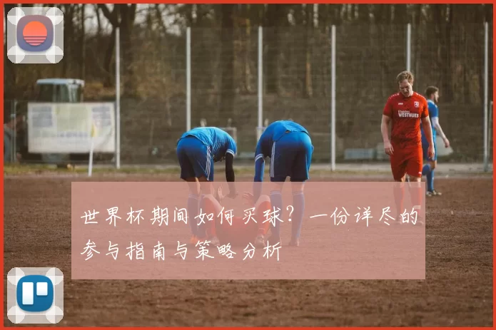 世界杯期间如何买球？一份详尽的参与指南与策略分析