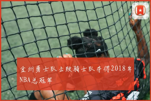 金州勇士队击败骑士队夺得2018年NBA总冠军